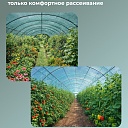 Сетка затеняющая Промышленник зеленая 50% 3х50 м фото 3