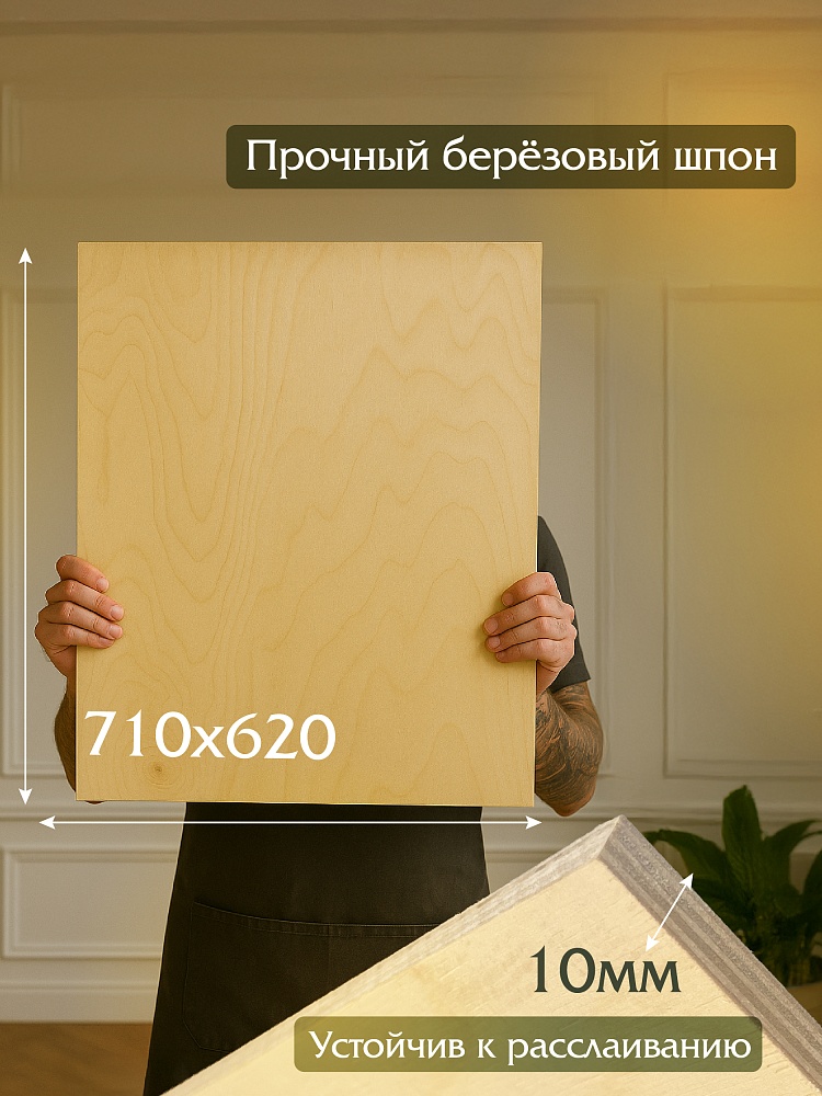 Фанера Промышленник 710х620х10мм, береза, упаковка 5 шт фото 2